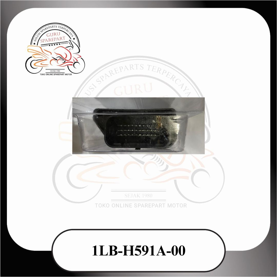 Dayon Ecu Cdi Ecm XEON RC 1LBH591A00
