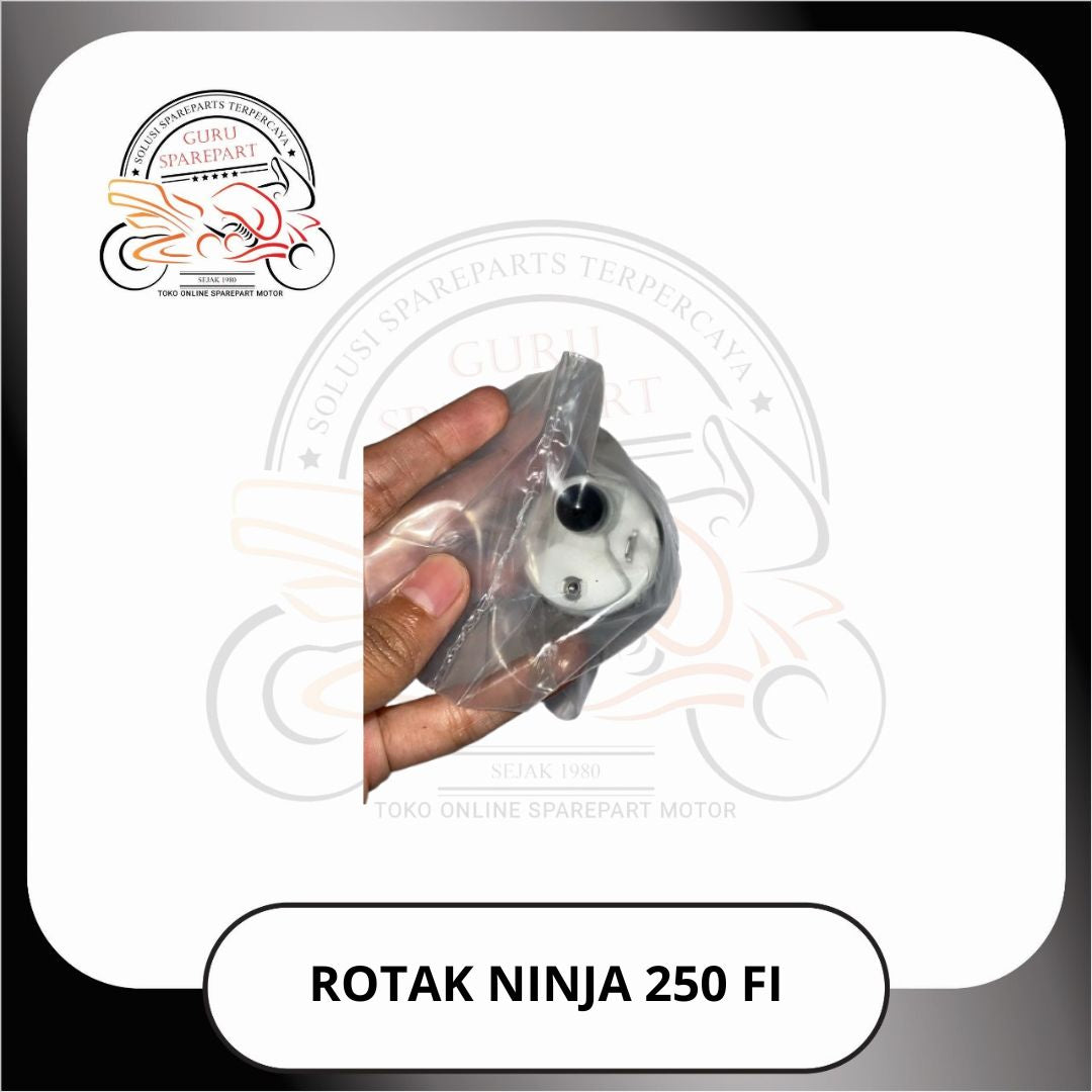 Dinamo Rotak Fuel Pump Ninja 250 FI Ninja RR mono