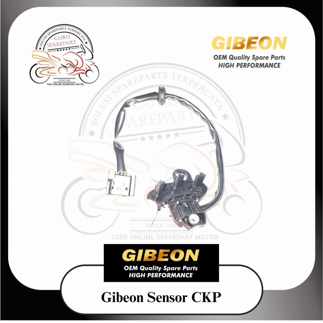Gibeon Sensor CKP BEAT POP BEAT ESP 2015 Beat Echo k81 Beat Led K1a Kaki 3