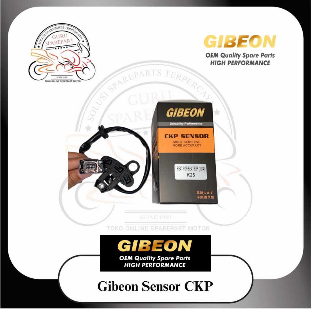 Gibeon Sensor CKP BEAT POP BEAT ESP 2015 Beat Echo k81 Beat Led K1a Kaki 3